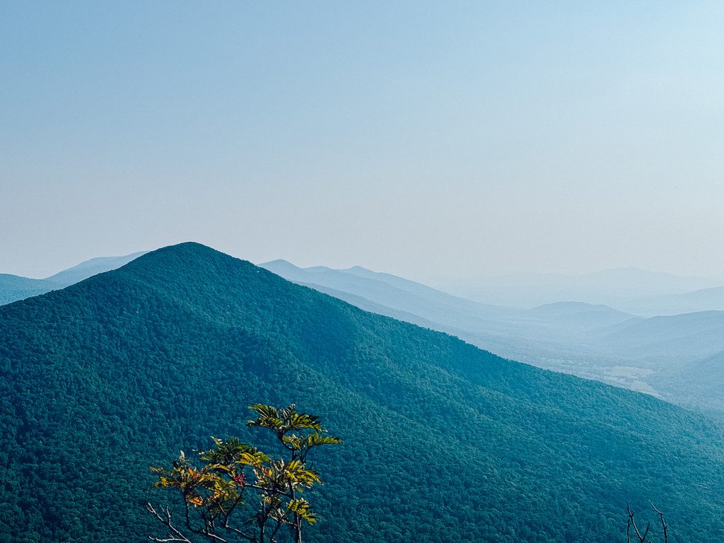 A Virginia road trip through the Blue Ridge Mountains.